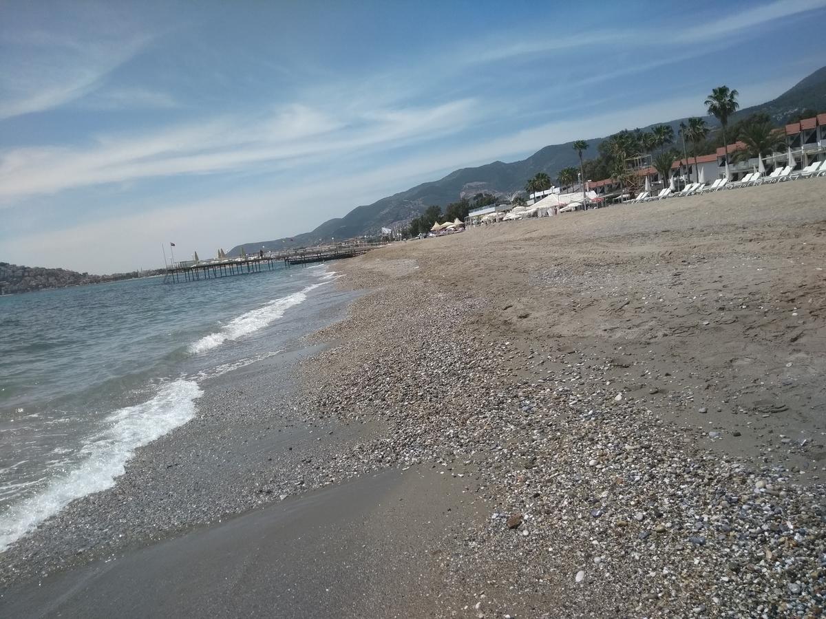 Asem Hotel Alanya Exteriör bild