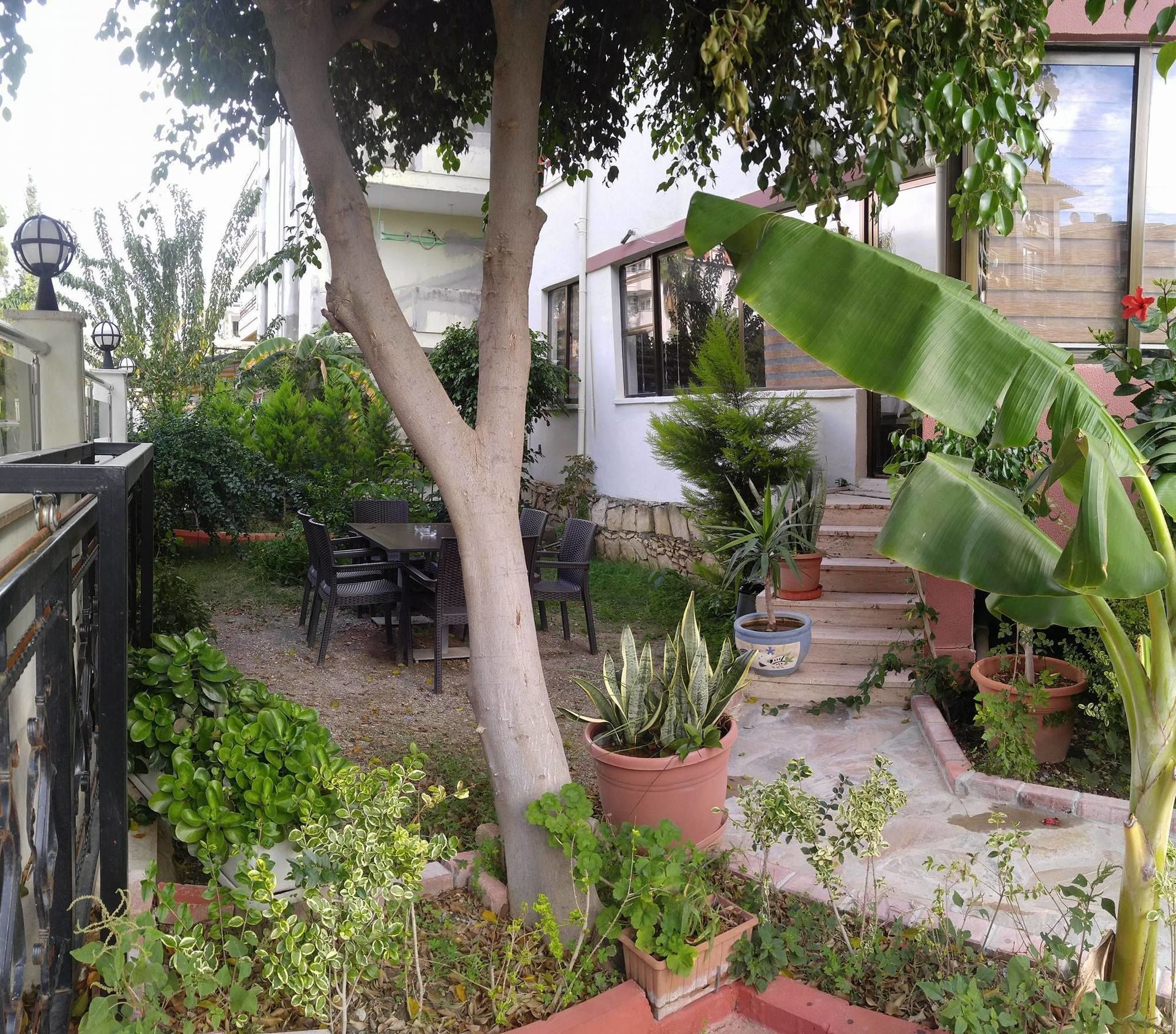 Asem Hotel Alanya Exteriör bild